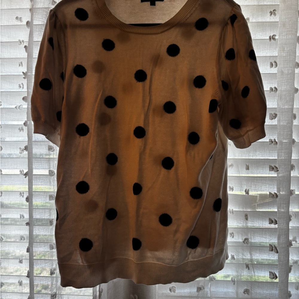 Adrianna Papell White and Black Polka Dot Short Sleeve Top